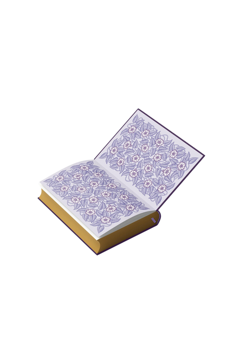 Eclipse | Vintage Collectors Edition