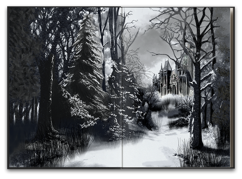 Shadow Heart | SIGNED Special Edition