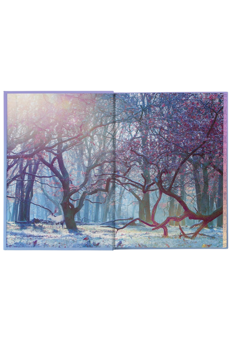 Sun and the Starmaker | Sprayed Edge Hardback