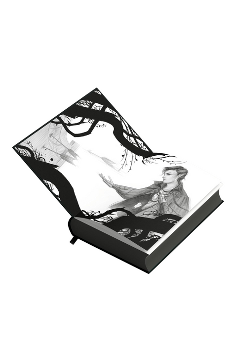 The Wicked King | Special Edition