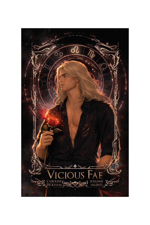 Vicious Fae | Paperback